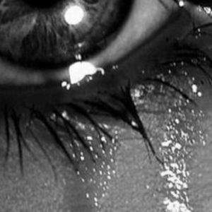 Meet your Posher, Gloria